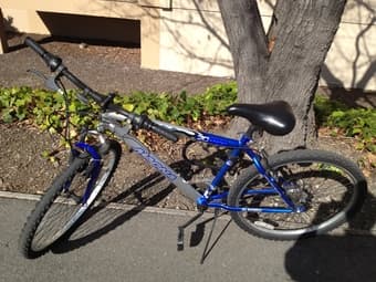 Bikes for Sale (100 OBO) 1