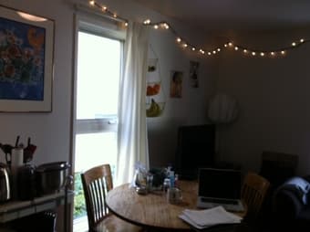 Furnished On Campus 1 BR in a Rains 2 BR Mid June - Early September 1