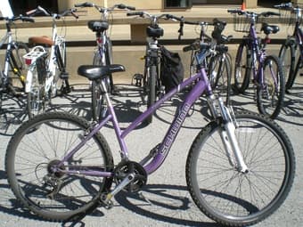 Mountain Bike for sale at 90$ 1