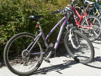 Mountain Bike for sale at 90$ 2