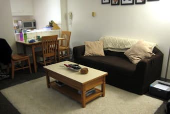 REDUCED! $35 for couch slipcover and throw pillows 2
