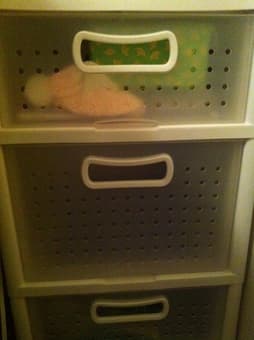 Organizer $5-$15 2