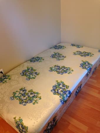 Twin mattress $40 1