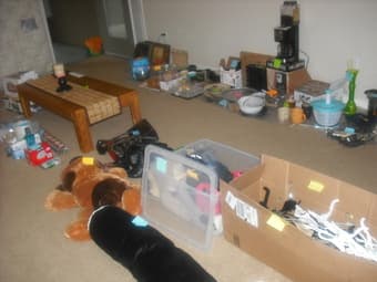 GARAGE SALE - LAST CHANCE THIS WEEKEND - EVERYTHING MUST GO!! 2