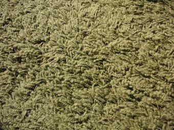 Area rug, forest green 2