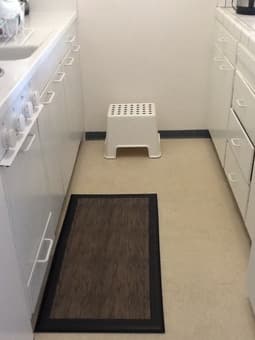Step stool 1