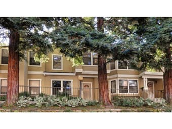 - $1200 / Huge Master Suite with Private Bath (Mt. View/Sunnyvale) 1
