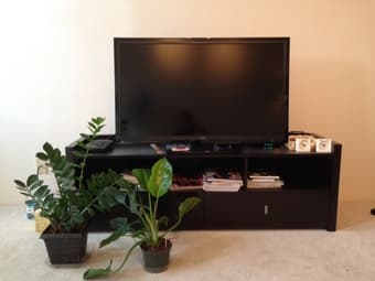 Vizio 42" LCD Smart TV - $375 1