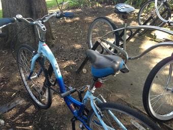 Selling Women's Bike and Mini Fridge! 1