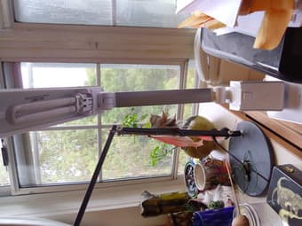 Adjustable Desk Lamp for $10 OBO 1