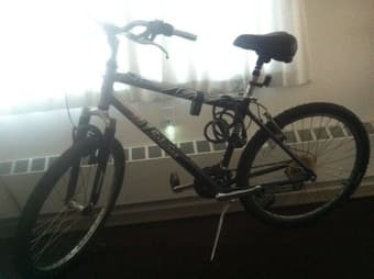 Schwinn Bike asking for $80 1