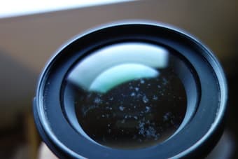 Nikon D40 + 18-70mm 3.5-4.5G ED lens (28-105mm), $285 2