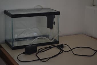 3 gallon glass tank, filter for the bargain price of 40 bucks 1