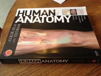 Human Anatomy Textbook for SURG101 $70 (OBO) 1