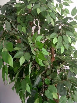 moving sale - space heater, decorative tree 3