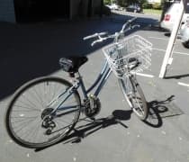 Giant Cypress ST W XS, $250 1