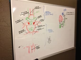 24"x34" Whiteboard - $20 1