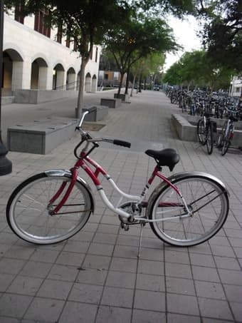 FOR RENT: Women Cruiser $40 for the whole summer 1