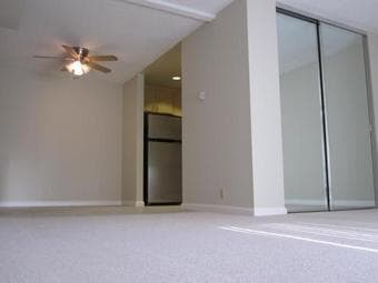 1BR/1BA Apt for share - Mountain View 3