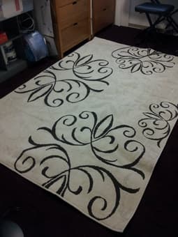 $15 Rug and $40 pet crate for sale 1