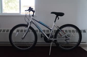 24'' MT. FURY Mountain Bike in Nice Condition, $160 1