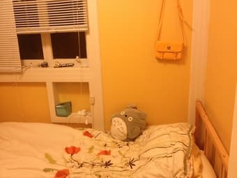 san francisco bernal heights room sublease from next week 1