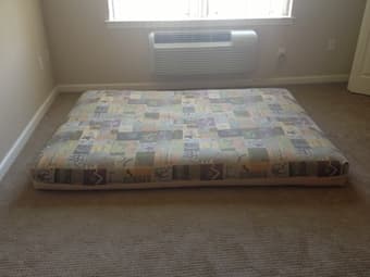 Futon mattress ($20) 1