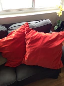 MUST GO TODAY: Comfortable Throw Pillows - $10 1