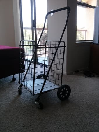 Shopping cart 1
