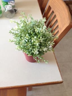 Amazing and cheap home decor items 1
