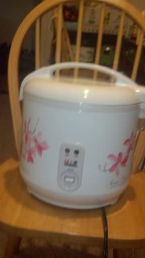 Electronic Pot for Sale $70 1