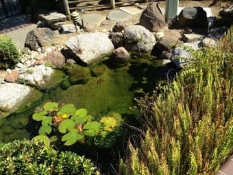 Seek ENTREPRENEURS & LEADERS for community-centered Cupertino Mansion 3