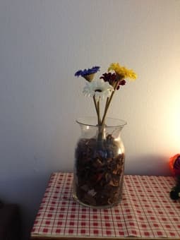 Really cheap & beautiful home decor - $ 2 per piece only 2