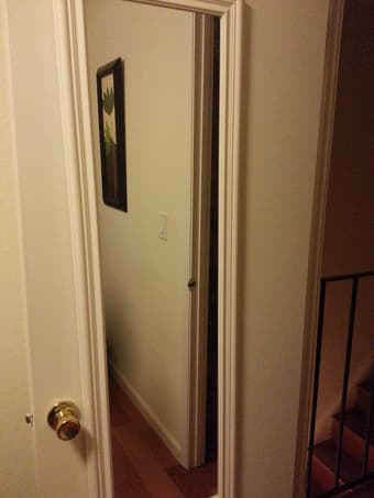 Door Mirror 1