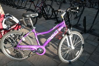 26" Avalon bike 1