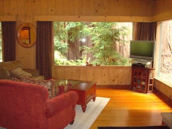 *** COME LIVE IN THE REDWOODS NEAR THE OCEAN! *** 2