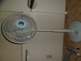 SPT Standing Fan with remote 35$ OBO 3