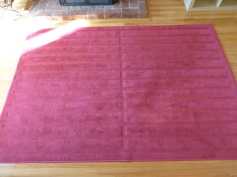 Rug $10 1