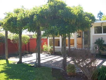 $4450-3BR/2BA+Bonus Rm Bright & Charming Palo Alto Midtown South House 1