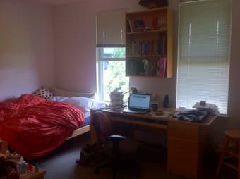 Studio Sublet for Thanksgiving - Christmas - longer term possible 3