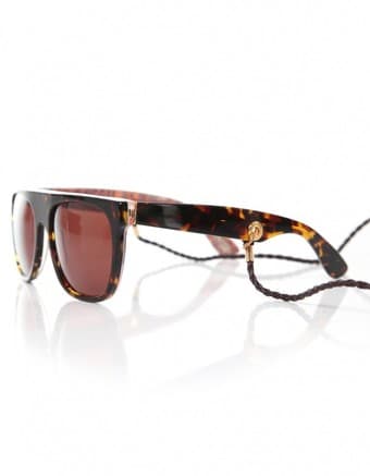 ~~~~~~~~~~~~~~~~~~~~~~~Ray Ban Sunglasses & Louie~~~~~~~~~~~~~~~~~~~~~ 3