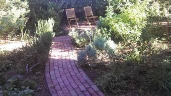 $1222 Female Roommate wanted for 4BR/2BA House; prime location 2