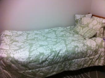 $25 Green print twin bed sheet set 1