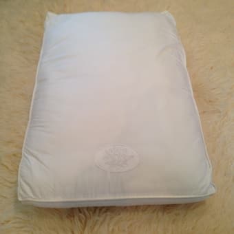 standard pillow insert for sale $5 1