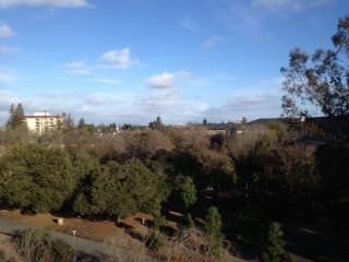 1BR/1BA apt in EV available over Xmas (Dec 9-Jan4) - awesome views! 2