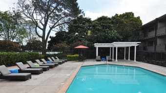 Shared Room for Rent in Fully Furnished, Friendly Palo Alto Apartment 2