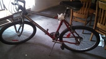 FOR SALE: Still Rideable Mountain Bike for Tall People, $50 1