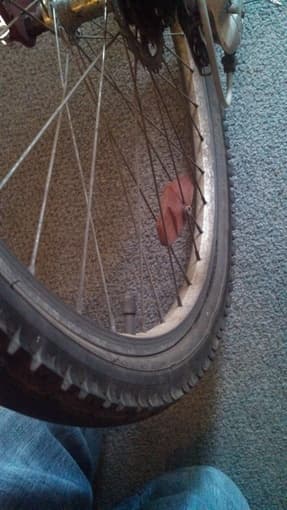 FOR SALE: Still Rideable Mountain Bike for Tall People, $50 3