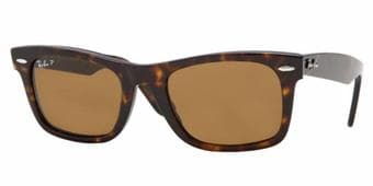 ~~~~~~~~~~~~~~~~~~~~~~~Ray Ban Sunglasses & Louie~~~~~~~~~~~~~~~~~~~~~ 2