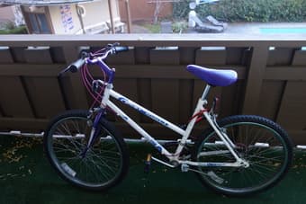 Magna MTB 1